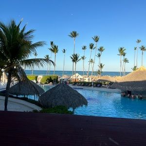 Meet your Posher, Cynthia